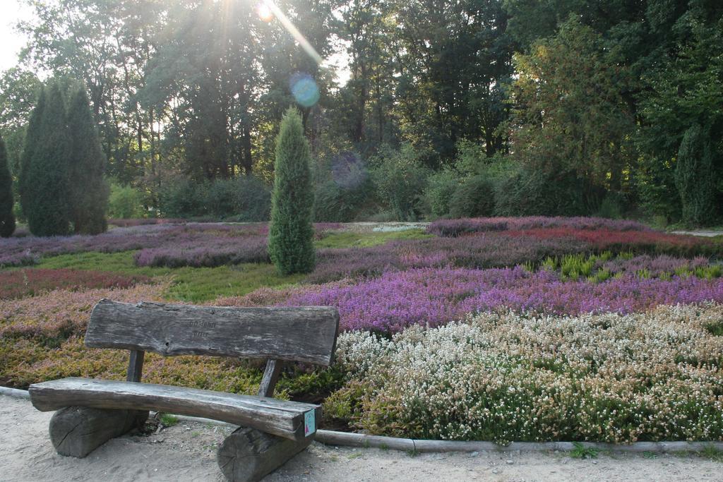 Ferienwohnung Lueneburger Heide 슈네베르딘겐 외부 사진